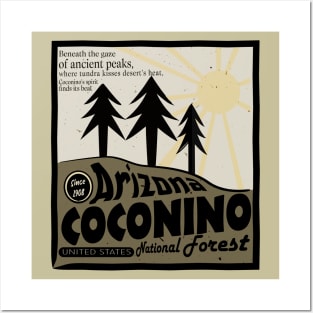 coconino national forest arizona Posters and Art